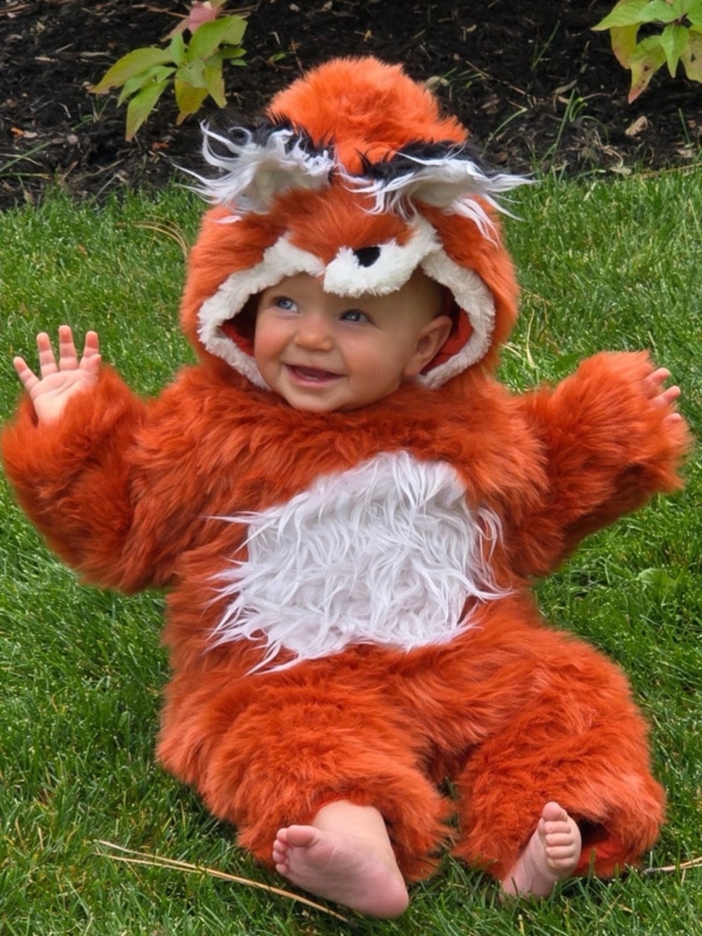 Pottery Barn Kids Woodland Baby Fox Costume 6-12 Months